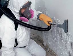 Best Dehumidification Services  in Havelock, NC